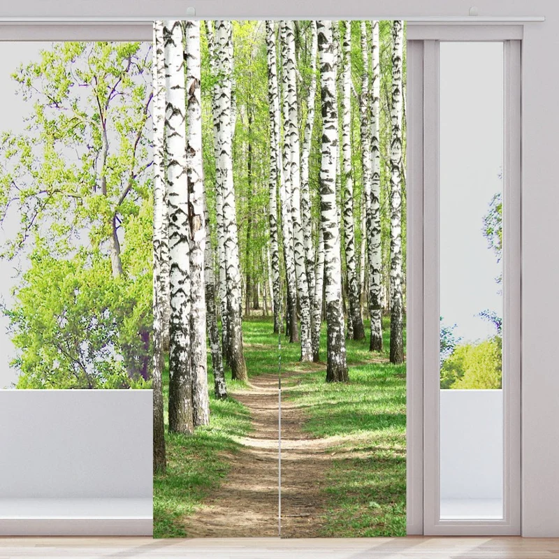 Schiebegardine Motiv "Birkenwald Weg"