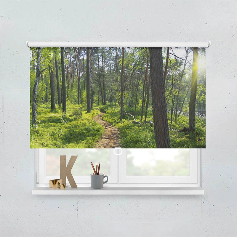 Springrollo Motiv "Wald Sonnenstrahlen Panorama"