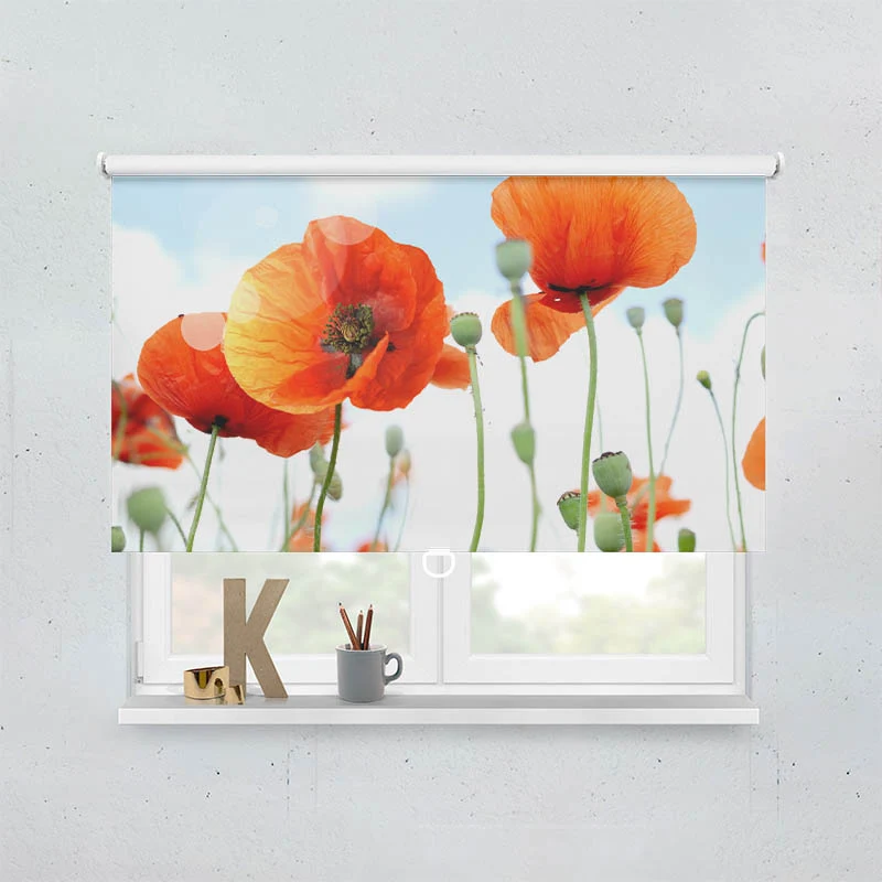 Springrollo Motiv "Mohnblumen Panorama"