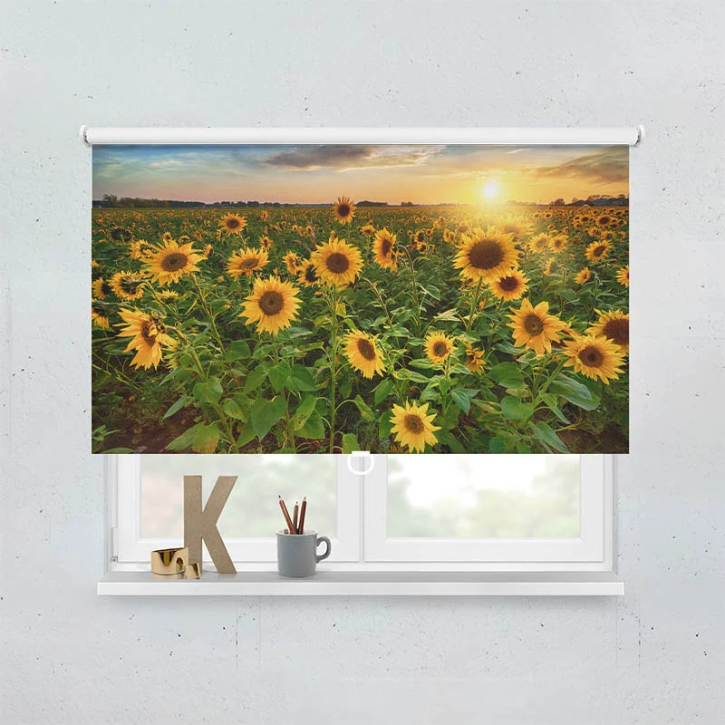 Springrollo Motiv "Sonnenblumenfeld Sonnenaufgang"