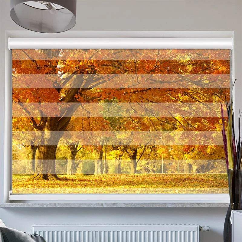 Doppelrollo mit Kassette "Allee im Herbst"