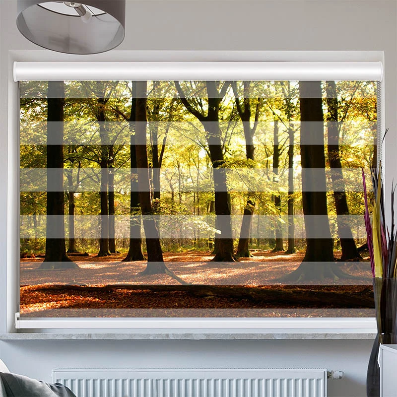 Doppelrollo mit Kassette "Wald Sonnenstrahlen"