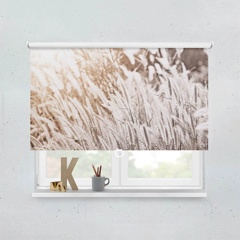 Springrollo Motiv "Pampas Gras"