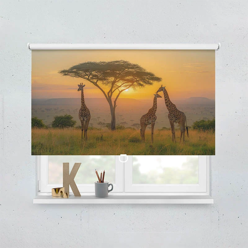 Springrollo Motiv "Afrika Giraffen Savanne"
