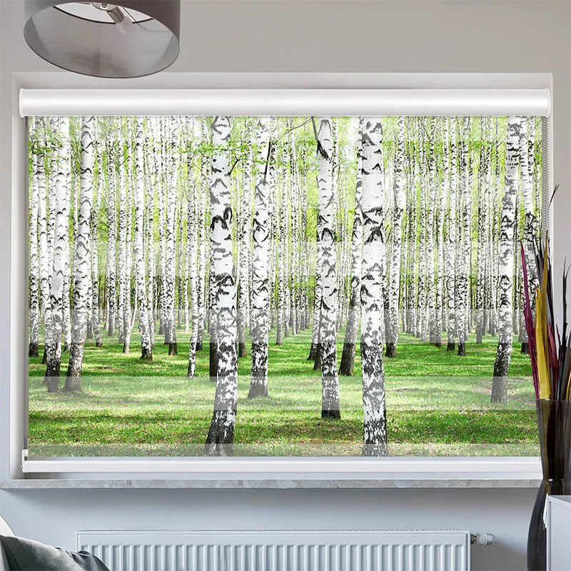 Doppelrollo mit Kassette "Birkenwald"