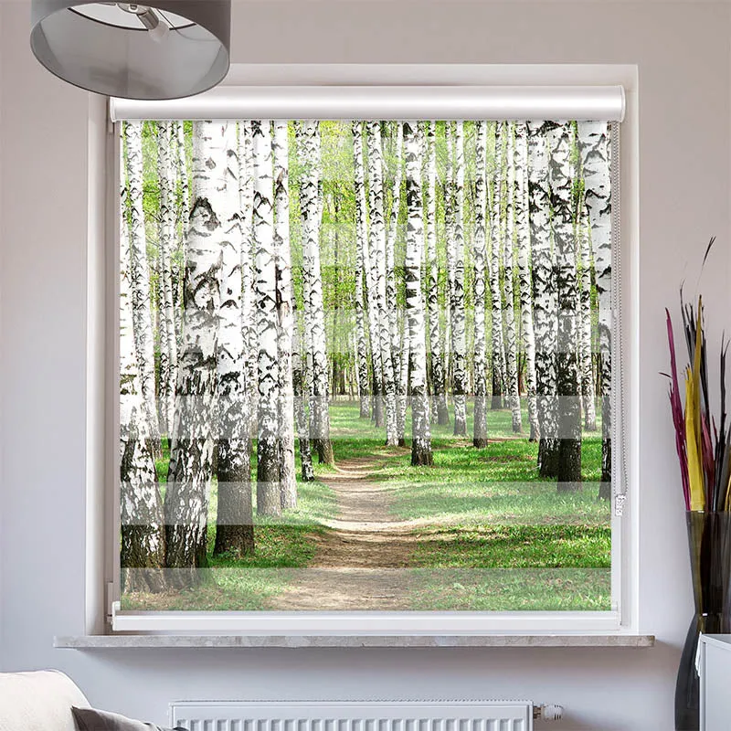 Doppelrollo mit Kassette "Birkenwald Weg"