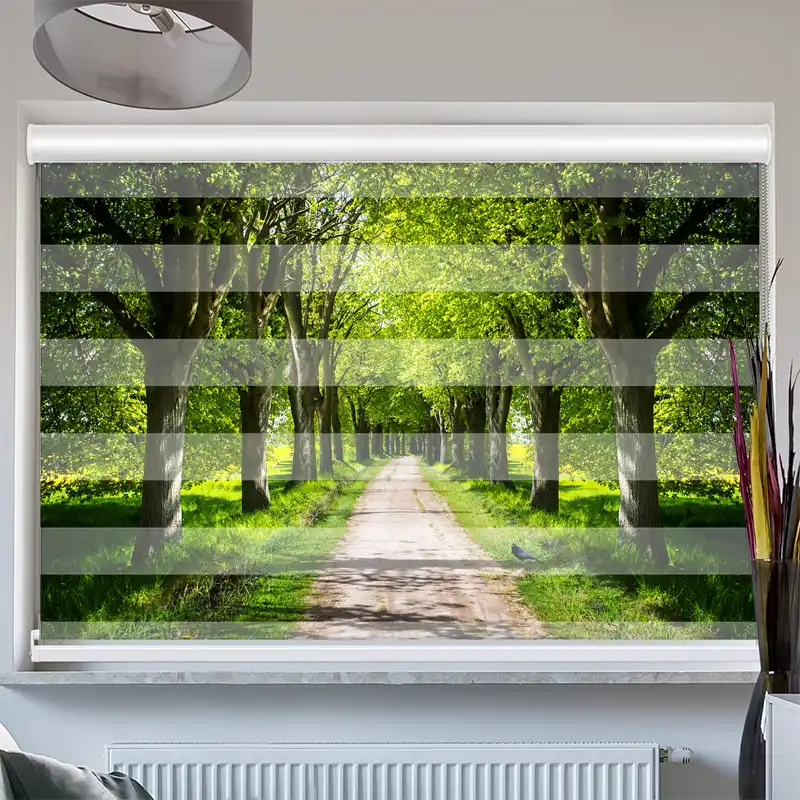 Doppelrollo mit Kassette "Schoene Allee"