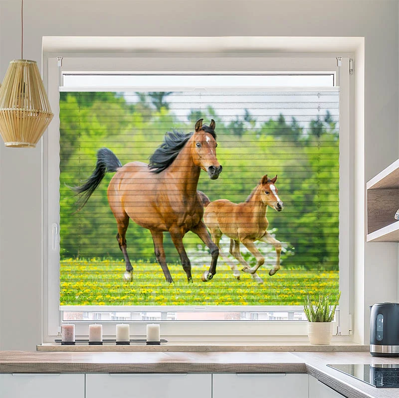 Plissee Motiv "Pferd mit Fohlen"