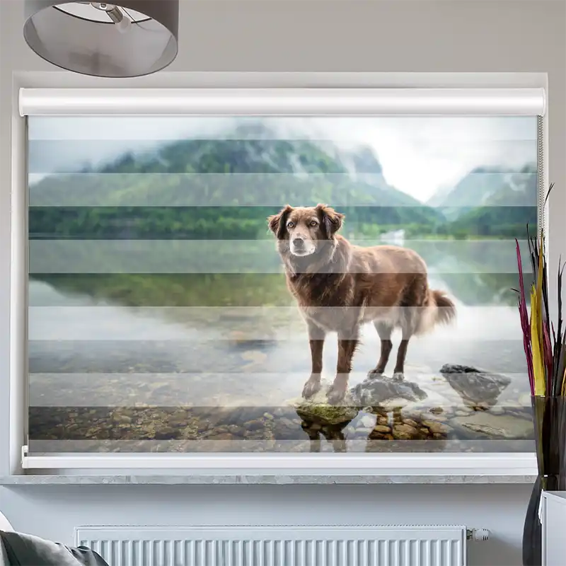 Doppelrollo mit Kassette "Hund am Bergsee"