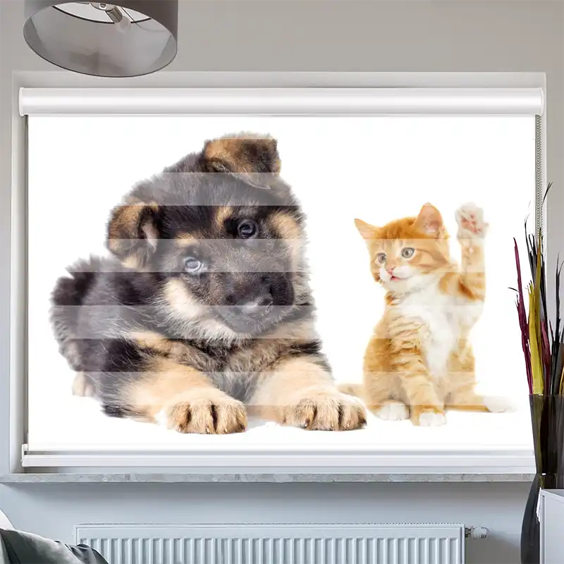 Doppelrollo mit Kassette "Welpe und Kitten"