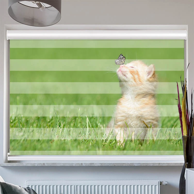 Doppelrollo mit Kassette "Kitten und Schmetterling"