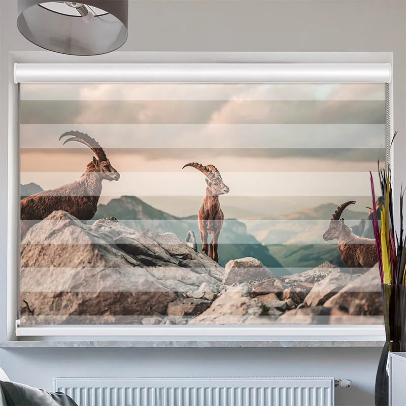 Doppelrollo mit Kassette "Steinboecke in den Schweizer Alpen"