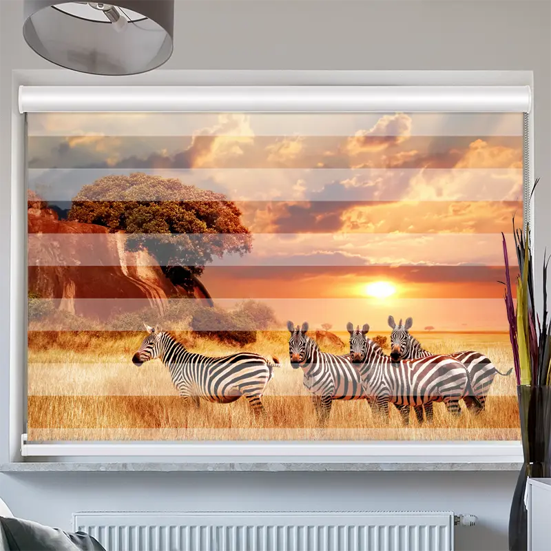 Doppelrollo mit Kassette "Zebras in Afrikas Savanne"