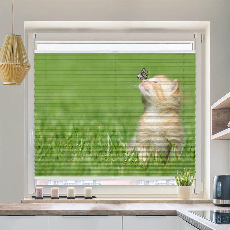 Plissee Motiv "Kitten und Schmetterling"