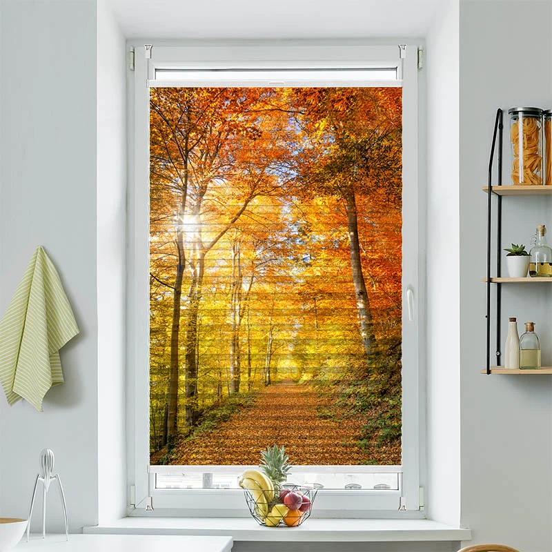 Plissee Motiv "Waldweg Herbst"
