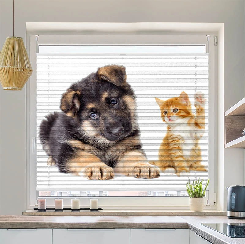 Plissee Motiv "Welpe und Kitten"