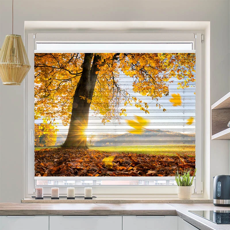 Plissee Motiv "Baum Wiese Herbst"