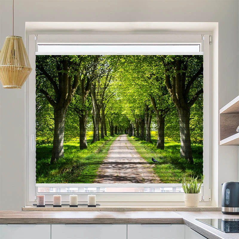 Plissee Motiv "Schoene Allee"