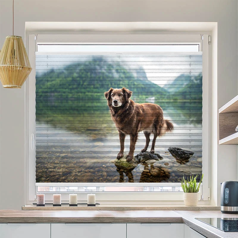 Plissee Motiv "Hund am Bergsee"