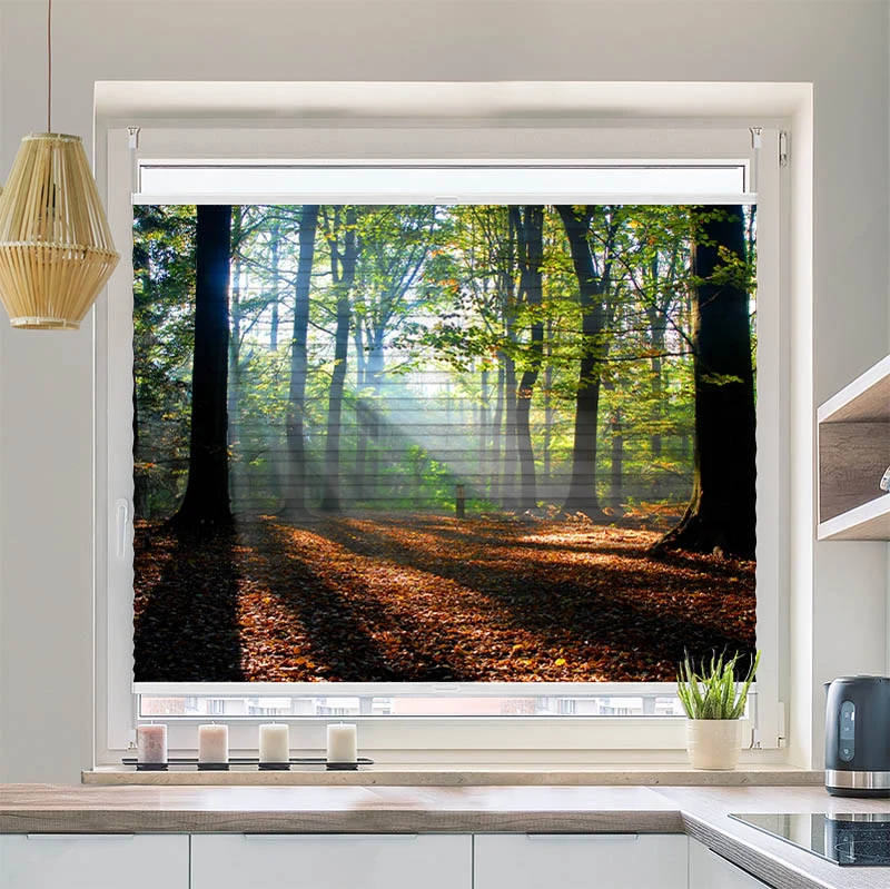 Plissee Motiv "Wald Laub Sonne"