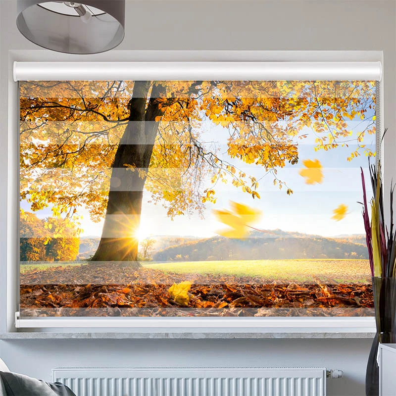 Doppelrollo mit Kassette "Baum Wiese Herbst"