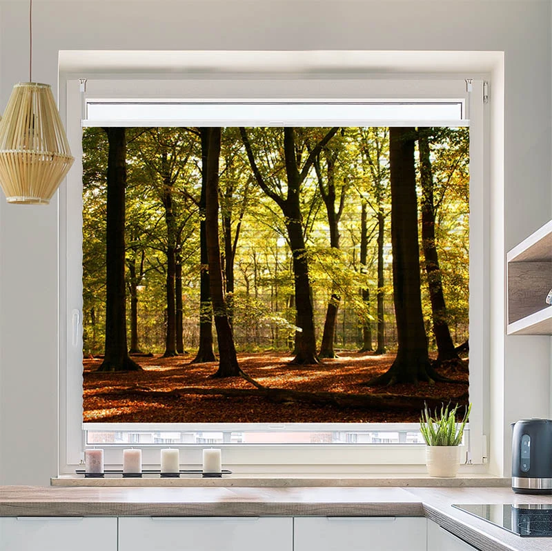 Plissee Motiv "Wald Sonnenstrahlen"