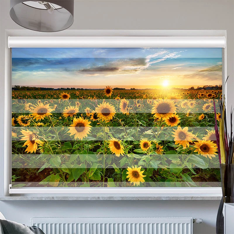 Doppelrollo mit Kassette "Sonnenblumenfeld Sonnenaufgang"