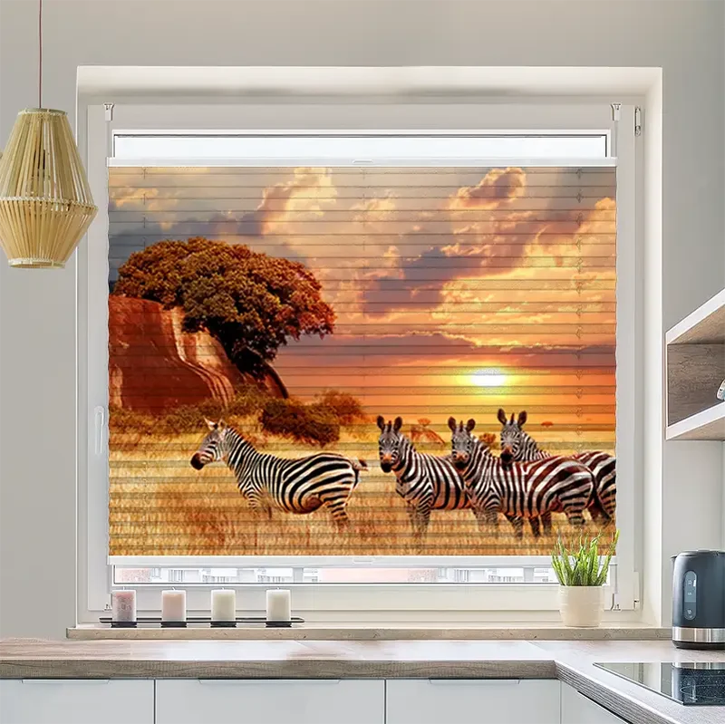 Plissee Motiv "Zebras in Afrikas Savanne"