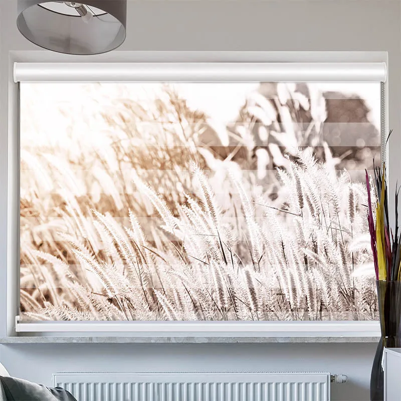 Doppelrollo mit Kassette "Pampas Gras"