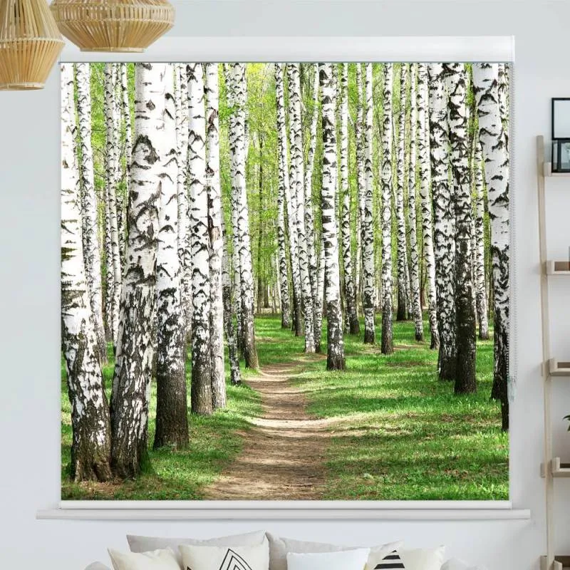 Kassettenrollo Motiv "Birkenwald Weg" | bis B 420 x H 420 cm