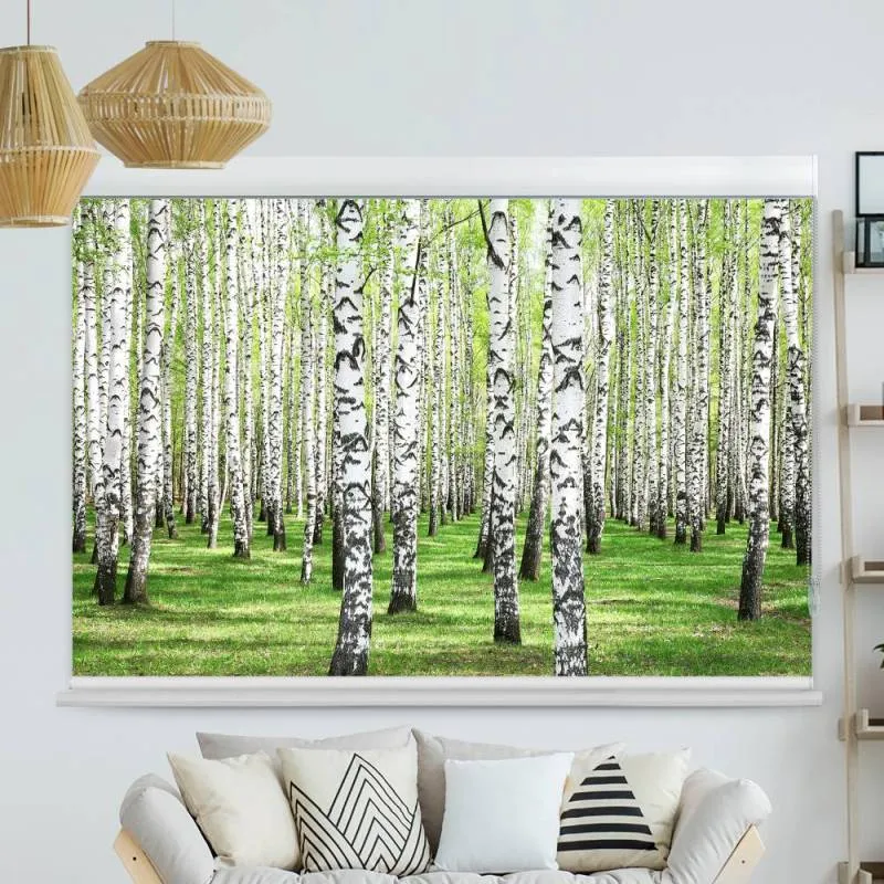 Kassettenrollo Motiv "Birkenwald" | bis B 420 x H 420 cm