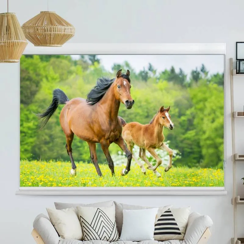 Kassettenrollo Motiv "Pferd mit Fohlen" | bis B 420 x H 420 cm