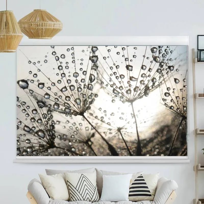 Kassettenrollo Motiv "Pusteblume Tautropfen" | bis B 420 x H 420 cm