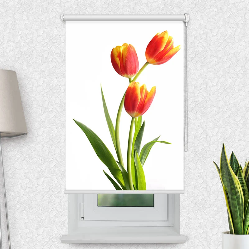 Motivrollo 'Tulpen' | Bis B 430 x H 440 cm