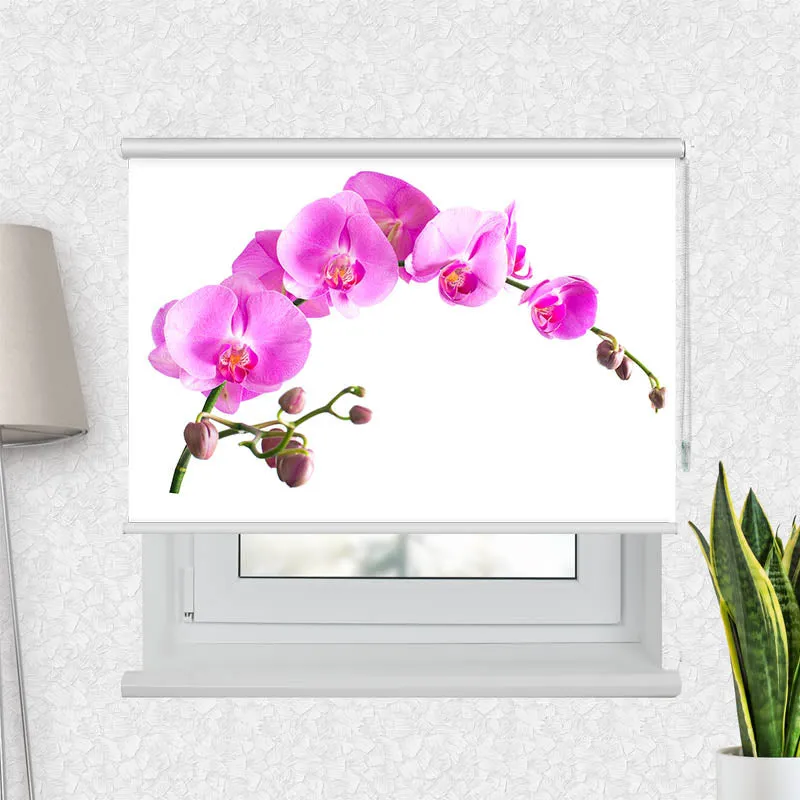 Motivrollo 'Orchidee' | Bis B 430 x H 440 cm