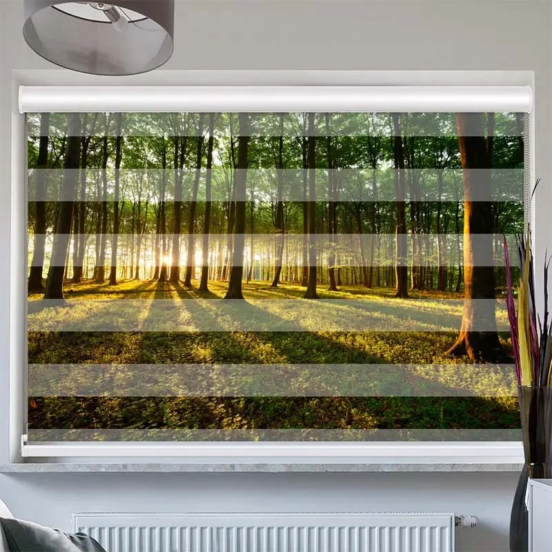 Doppelrollo mit Kassette "Sonnenstrahlen im Wald"