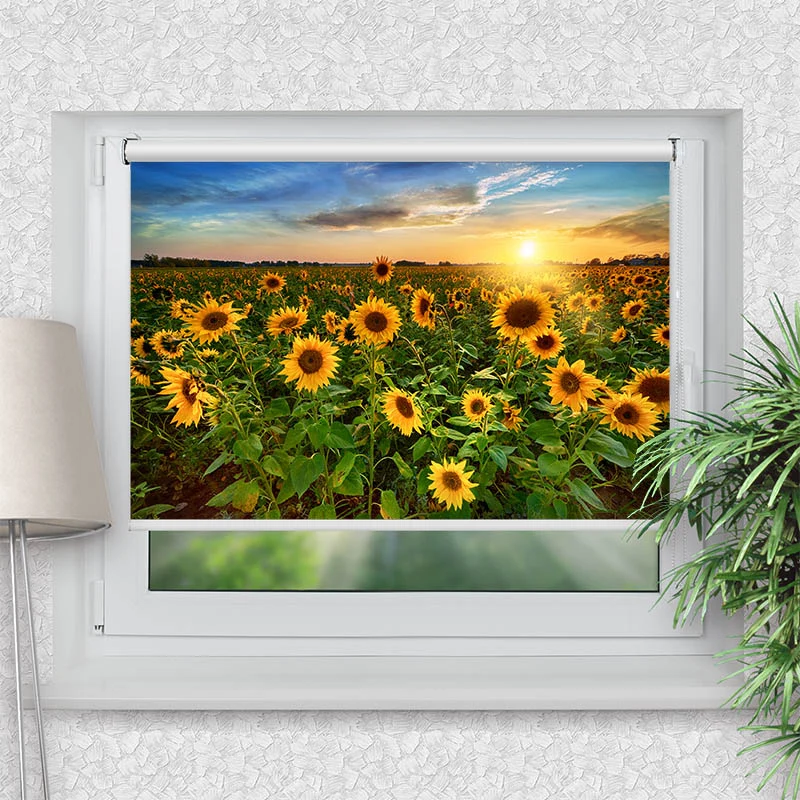 Klemmfix Rollo "Sonnenblumenfeld Sonnenaufgang" | Motiv-Klemmrollo