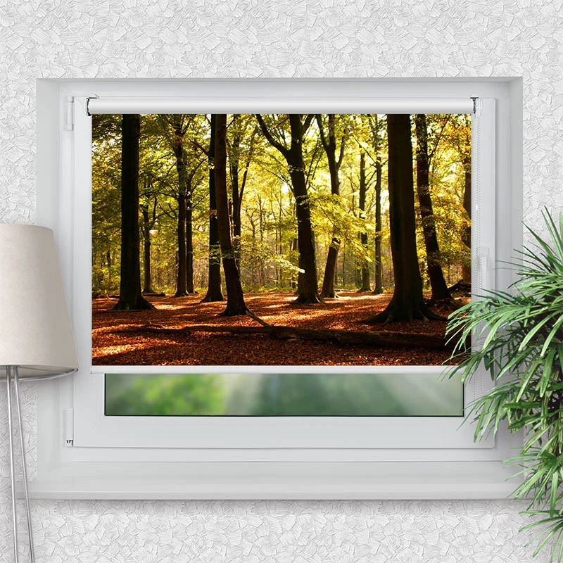 Klemmfix Rollo "Wald Sonnenstrahlen" | Motiv-Klemmrollo