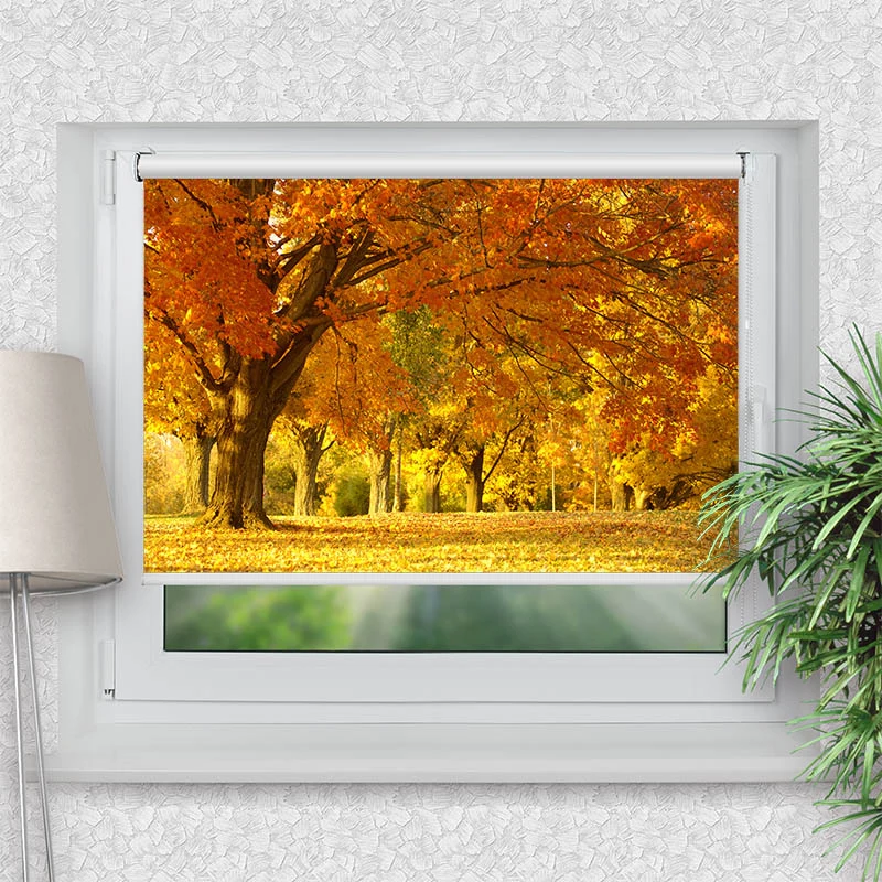 Klemmfix Rollo "Allee im Herbst" | Motiv-Klemmrollo