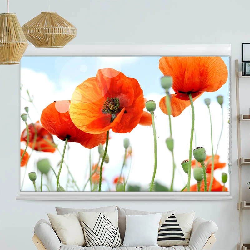 Kassettenrollo Motiv "Mohnblumen Panorama" | bis B 420 x H 420 cm