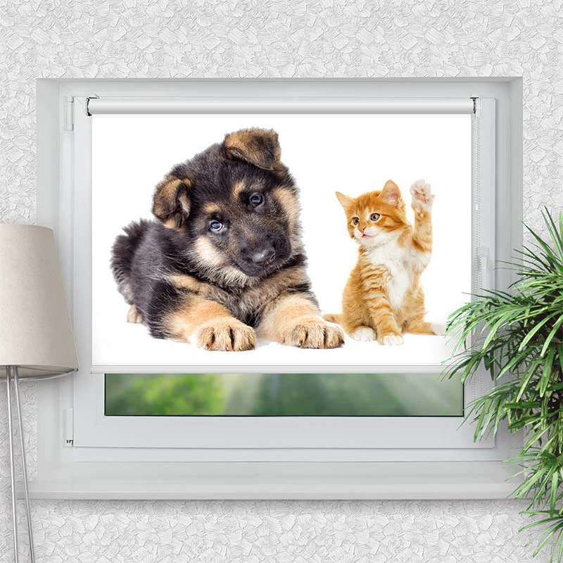 Klemmfix Rollo "Welpe und Kitten" | Motiv-Klemmrollo