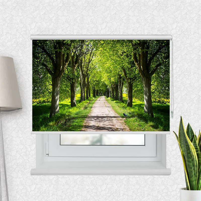 Motivrollo 'Schoene Allee' | Bis B 430 x H 440 cm