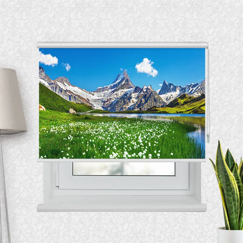 Motivrollo 'Schweizer Alpen Bachalpsee' | Bis B 430 x H 440 cm