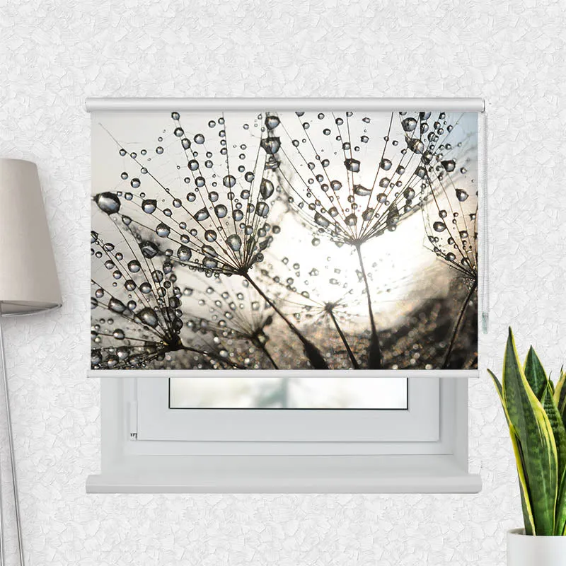 Motivrollo 'Pusteblume Tautropfen' | Bis B 430 x H 440 cm
