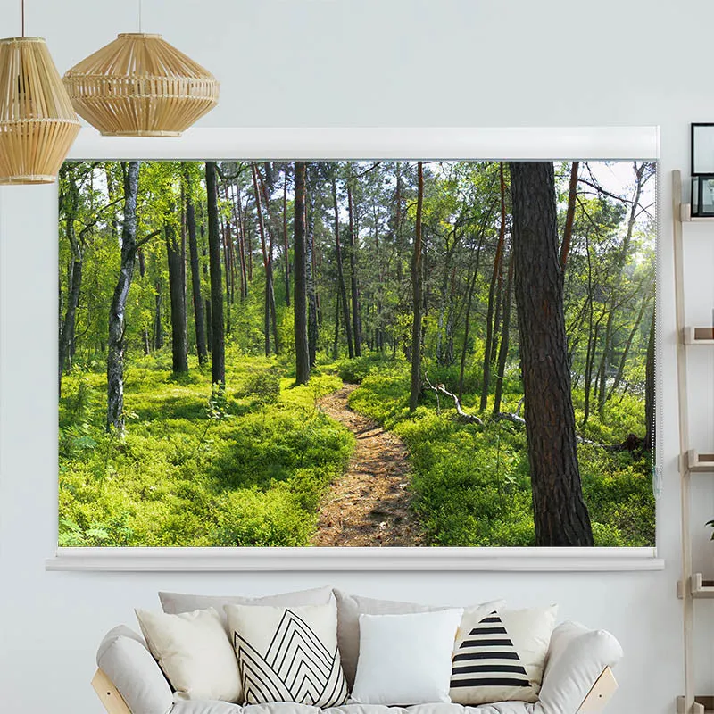 Kassettenrollo Motiv "Wald Sonnenstrahlen Panorama" | bis B 420 x H 420 cm