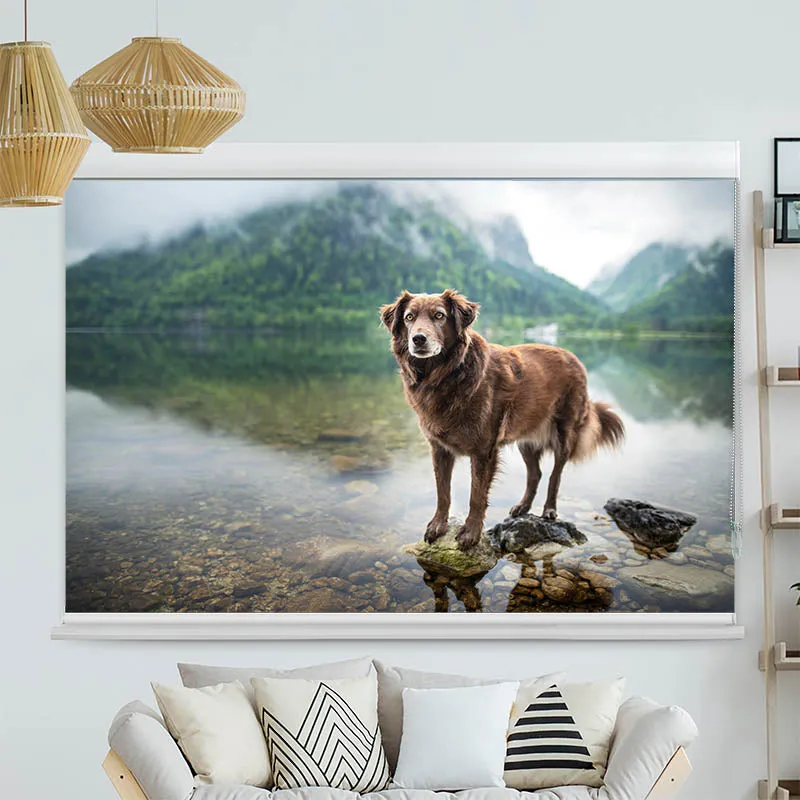 Kassettenrollo Motiv "Hund am Bergsee" | bis B 420 x H 420 cm