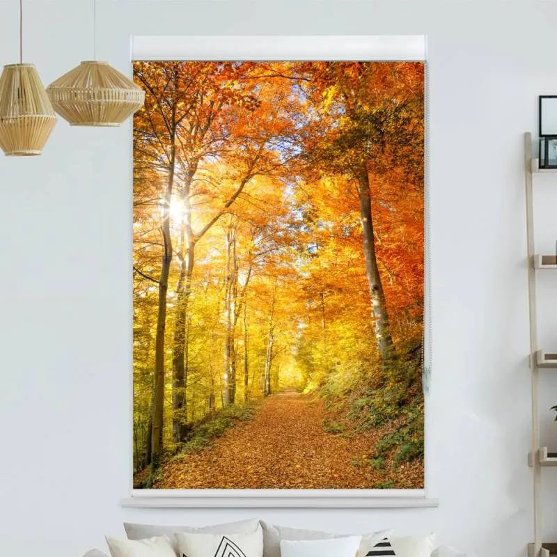 Kassettenrollo Motiv "Waldweg Herbst" | bis B 420 x H 420 cm