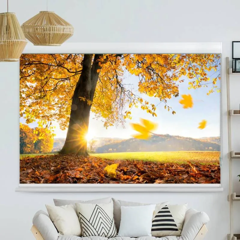 Kassettenrollo Motiv "Baum Wiese Herbst" | bis B 420 x H 420 cm
