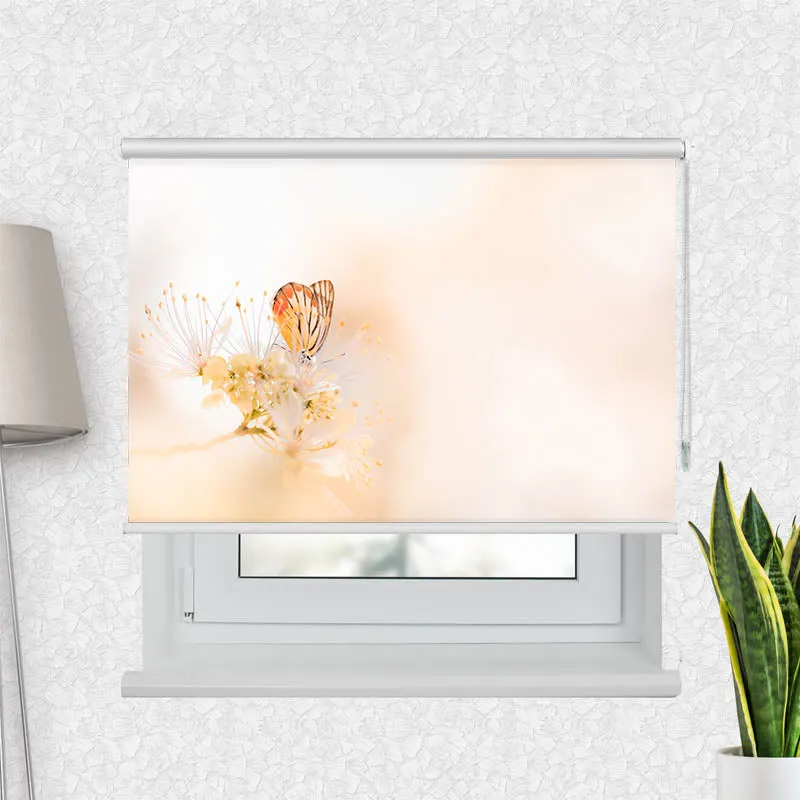 Motivrollo 'Schmetterling auf Bleute' | Bis B 430 x H 440 cm