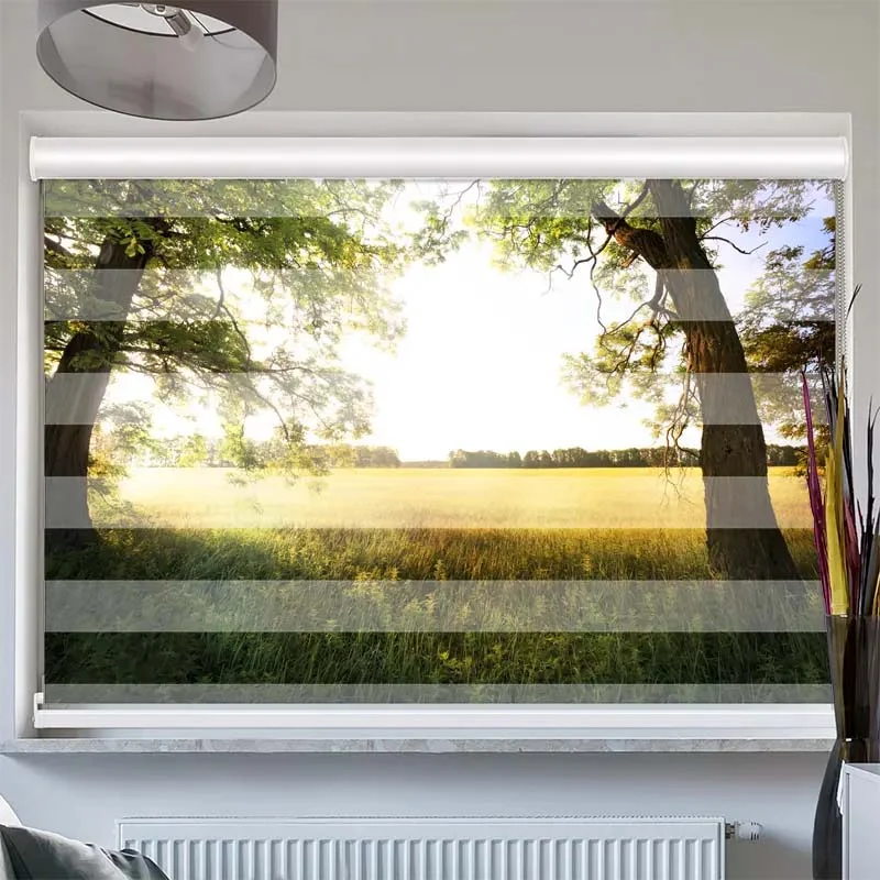 Doppelrollo mit Kassette "Feld mit Sonnenlicht"